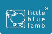little blue lamb shoes